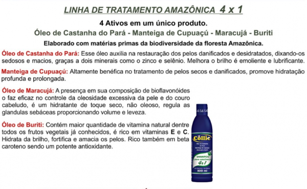 Shampoo 4x1 - Linha amazônica 500mL